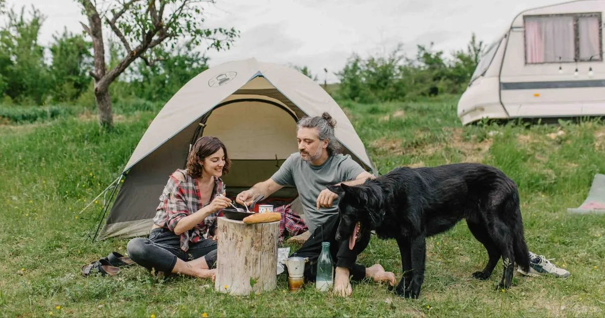 Choose The Best Power Station For Your Outdoor Activities