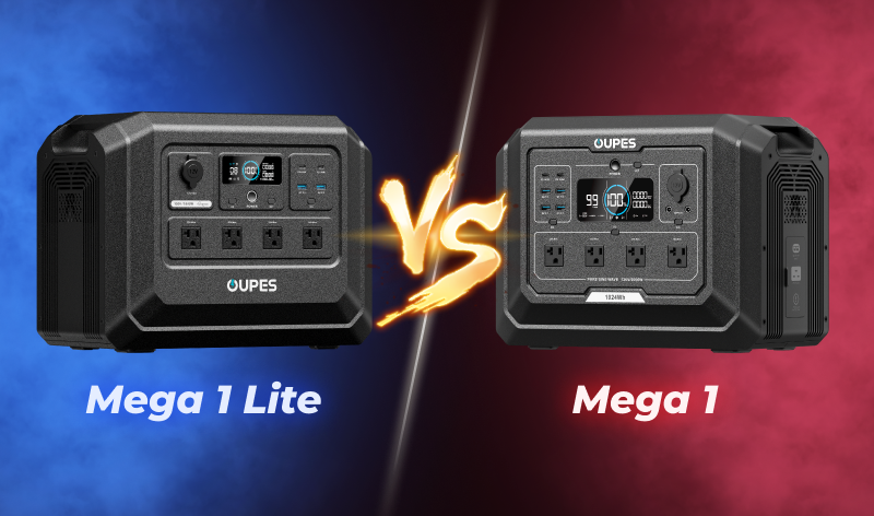 Mega 1 Lite VS Mega 1: Comprehensive In-Depth Comparison and Buying Gu